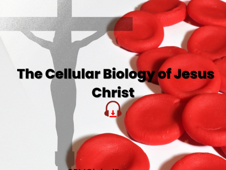 The Cellular Biology of Jesus Christ MP3 For Sale