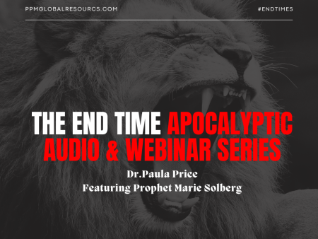 The End Time Apocalyptic Series Hot on Sale