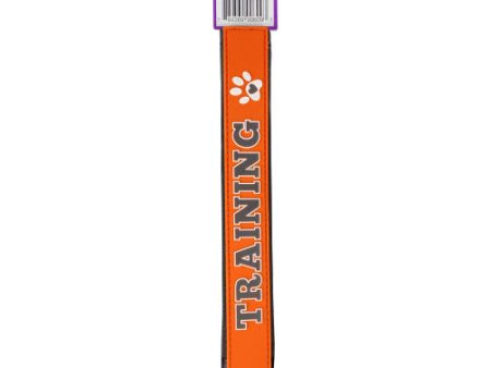 Training  Leash Wrap | Bright Lead Attachment for Dogs by Happy Pet Sale