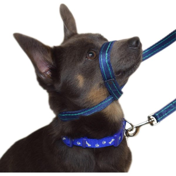 Gencon Lead & All In One No Pull Dog Walking Headcollar - Red and Black Sale