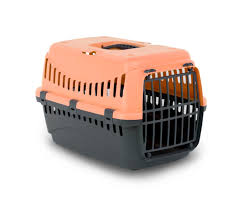 Bamfords | Small Pet, Kitten & Bird Transport Carrier Box - Gipsy Online