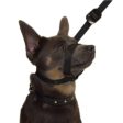 Gencon Lead & All In One No Pull Dog Walking Headcollar - Red and Black Sale