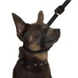 Gencon Lead & All In One No Pull Dog Walking Headcollar - Red and Black Sale