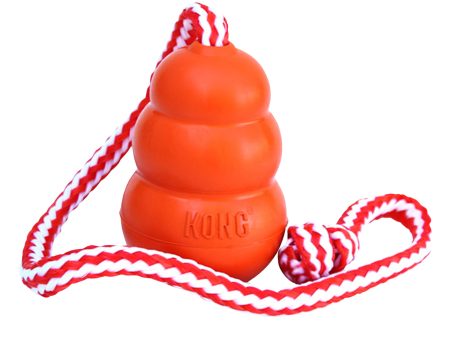 KONG | Active Dog Floating Retrieve Toy | Cool Aqua - Large Sale