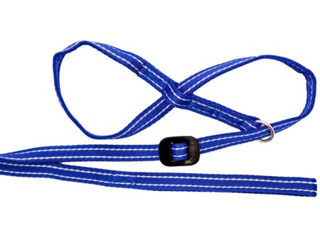 Gencon Lead & All In One No Pull Dog Walking Headcollar - Blue and White Discount