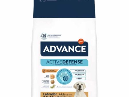 Advance Labrador Yetişkin Köpek Kuru Maması 11,5 kg Supply