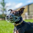 Baskerville | Dog Behaviour & Training | Lightweight Basket Muzzle  - INVISA For Cheap