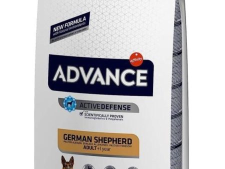 Advance Hindili ve Pirinçli German Shepherd (Alman Kurdu) Yetişkin Köpek Kuru Maması 12 kg Online Sale