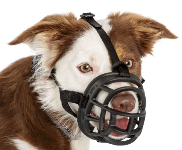 Baskerville | Dog Behaviour & Training | Lightweight Basket Muzzle  - Ultra For Sale