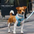 Ancol | Soho Collection | Dog Harness | Reversible Dino & Ice Cream Pattern For Cheap