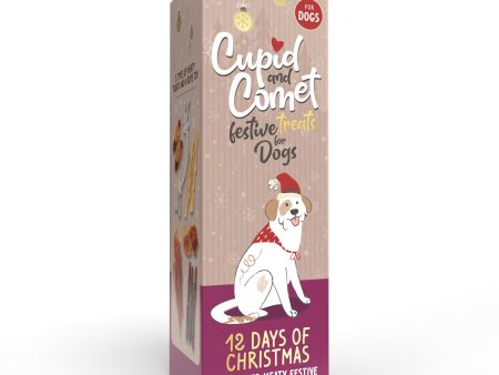 12 Days Of Christmas | Festive Meaty Dog Treat & Toy Selection Box For Cheap