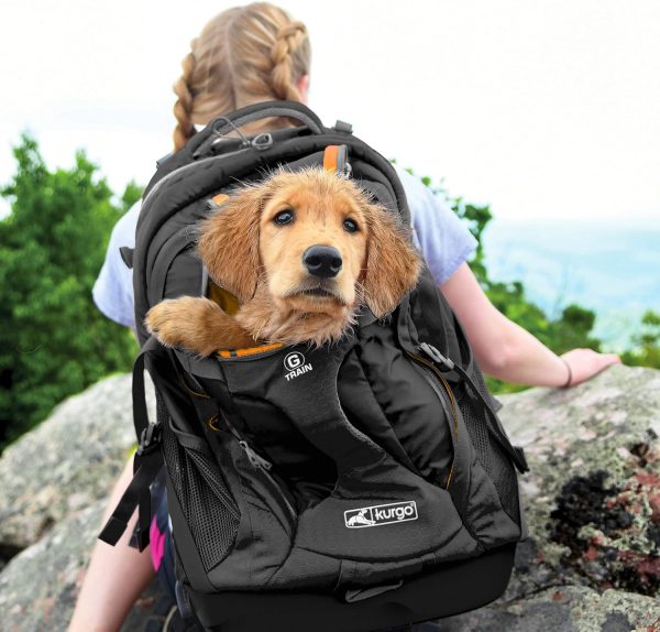 Kurgo G-Train K9 Pack, Carrier Backpack for Small Dogs and Cats Hot on Sale