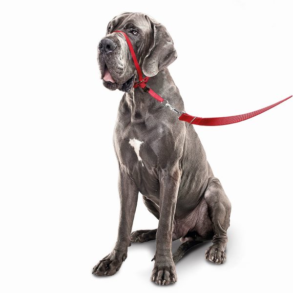 Gentle Leader | Dog Walking | No Pull Headcollar - Red For Discount