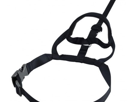 Halti No Pull Dog Walking Headcollar - Black Hot on Sale