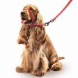 Gentle Leader | Dog Walking | No Pull Headcollar - Red For Discount