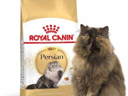 Royal Canin Persian Özel Irk Yetişkin Kedi Kuru Maması 2 kg For Discount