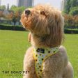 Ancol | Soho Collection | Dog Harness | Reversible Sunflower & Yellow Check Pattern Cheap