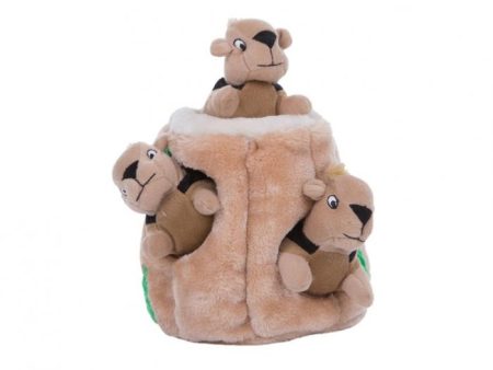 Outward Hound Hide A Squirrel Puzzle Dog Toy - Large on Sale