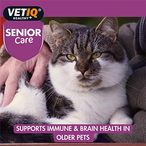 M&C Vet IQ | Senior Care Supplement For Dogs & Cats | Geriatr-UM - 45 Tablets Supply